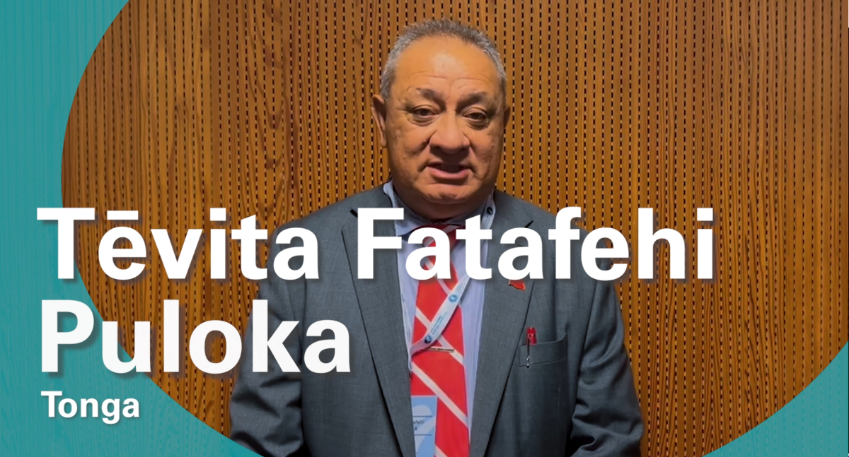 Tēvita Fatafehi Puloka