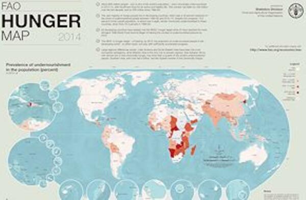Aujourd’hui, 805 millions de personnes souffrent chroniquement de la faim 
et 161 millions d’enfants présentent une surchage pondérale, selon la 
FAO. ©FAO

