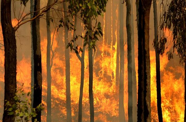 Fires in New South Wales