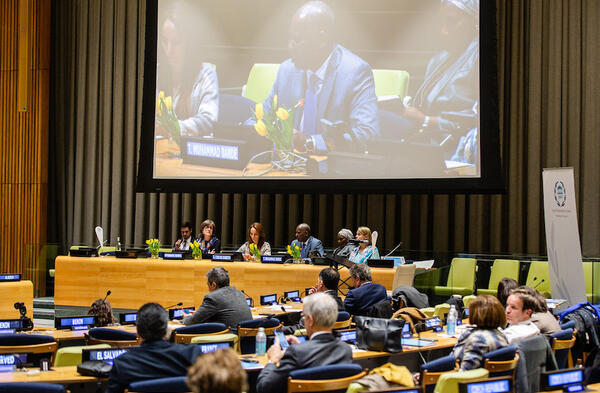 UN-IPU Hearing