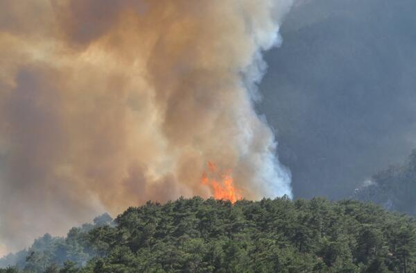 Turkey fires