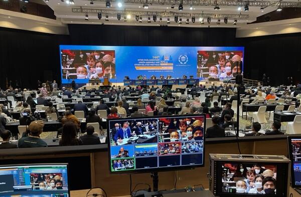 IPU Assembly