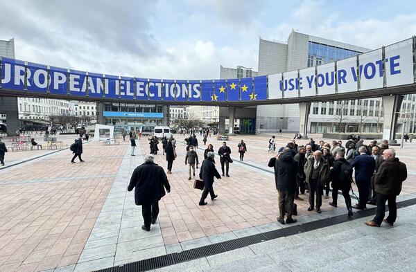 European elections