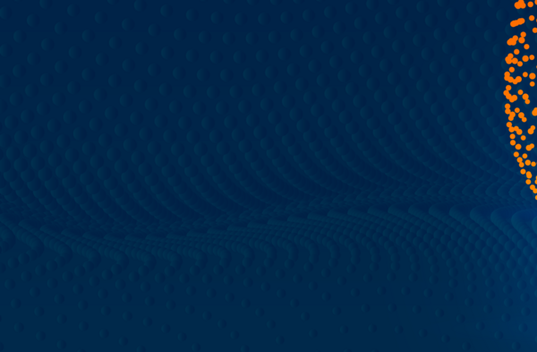 botton_Risks and challenges for parliaments