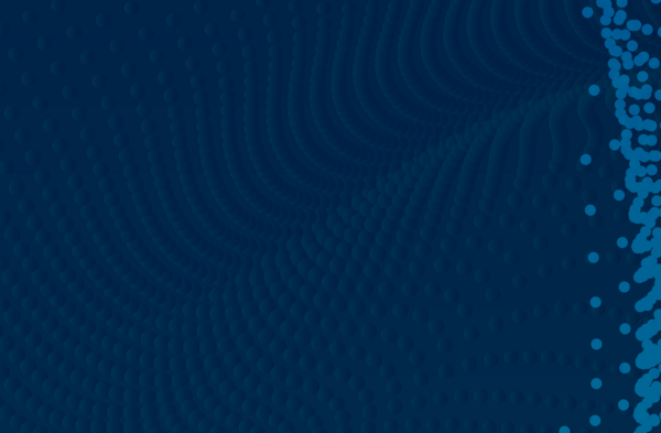 botton_Alignment with national and international AI frameworks and standards