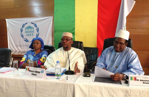 Des intervenants au séminaire à Bamako. © UIP/I. Obadiaru

