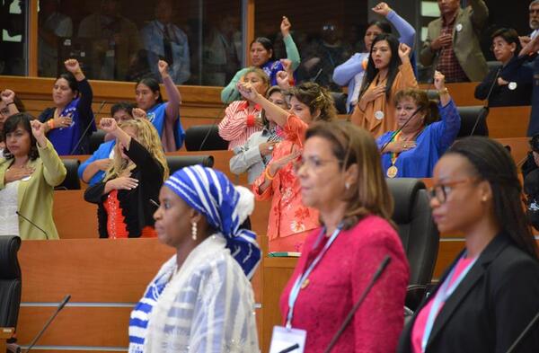 © Parlement de Bolivie