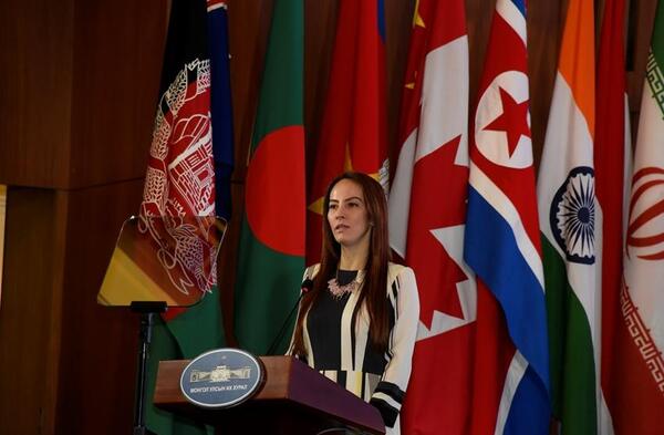 SDGs in Mongolia 