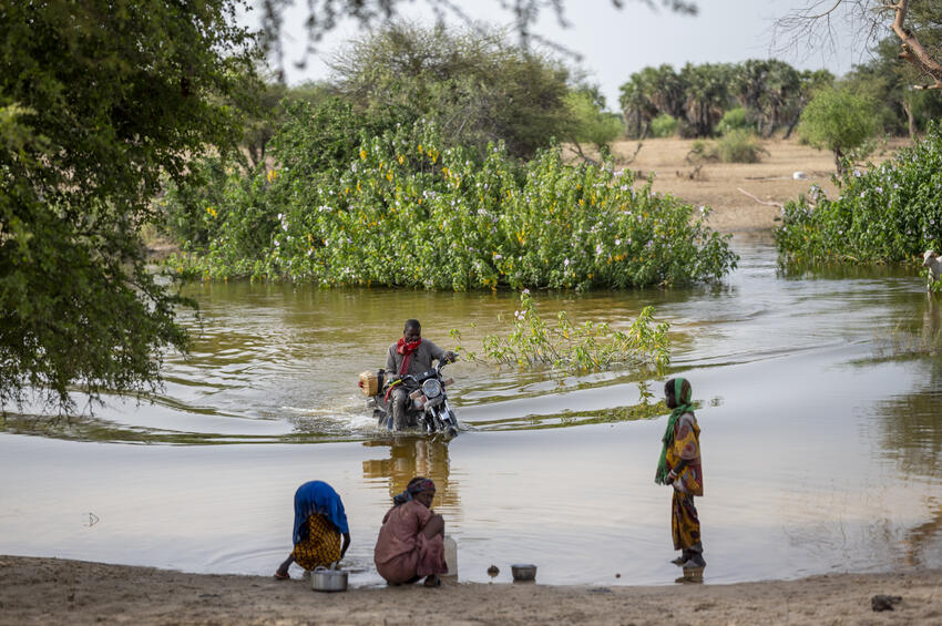 Global parliamentary solidarity for those forced to flee because of ...