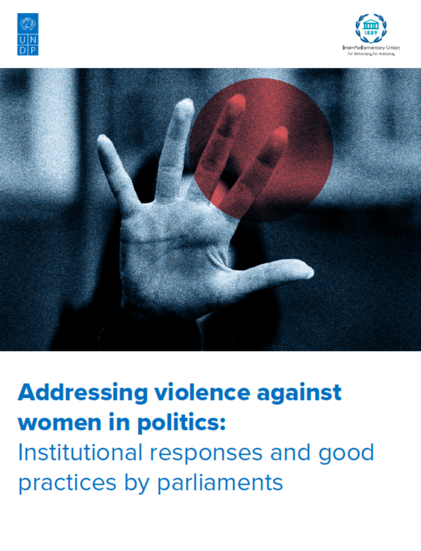 Addressing violence against women in politics: Institutional responses ...