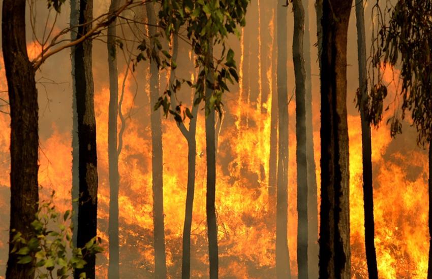 Fires in New South Wales