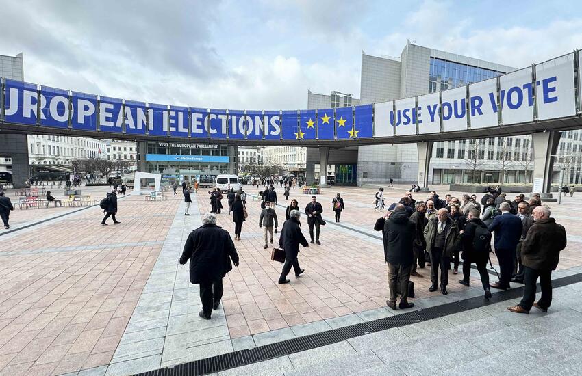 European elections