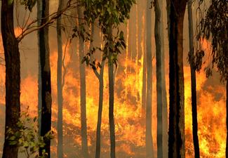 Fires in New South Wales