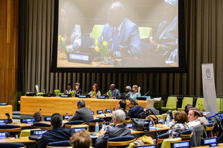 UN-IPU Hearing