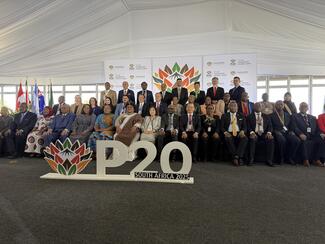 p20