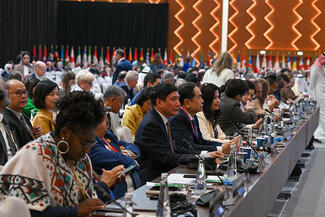 Manama Declaration at the 146th IPU Assembly