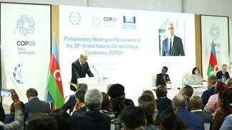 cop29