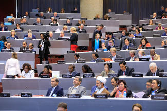 IPU Assembly