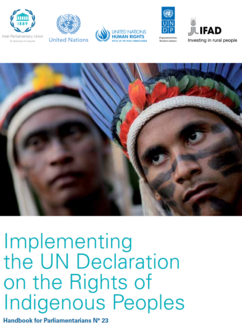 Protecting rights of indigenous peoples