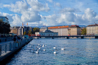 geneve