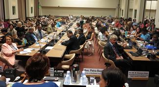 A full room at the IPU side event. 