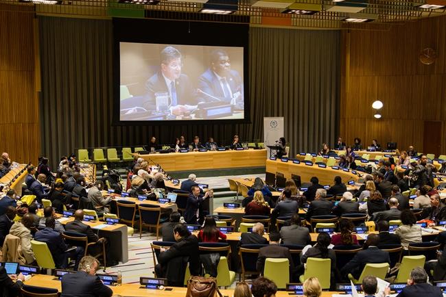 Les auditions permettent aux parlements de contribuer aux travaux de l’ONU. Photo: © UIP/Joel Sheakoski