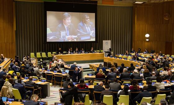 Meeting at the UN