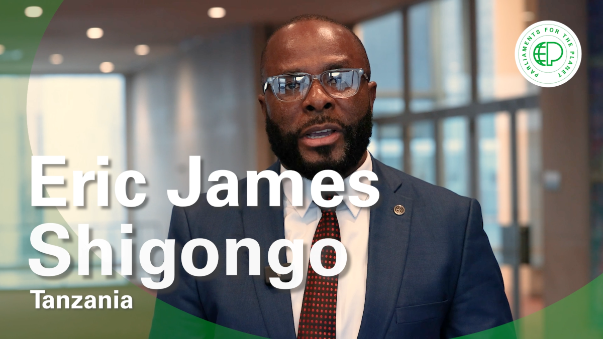 Eric Shigongo - Tanzania