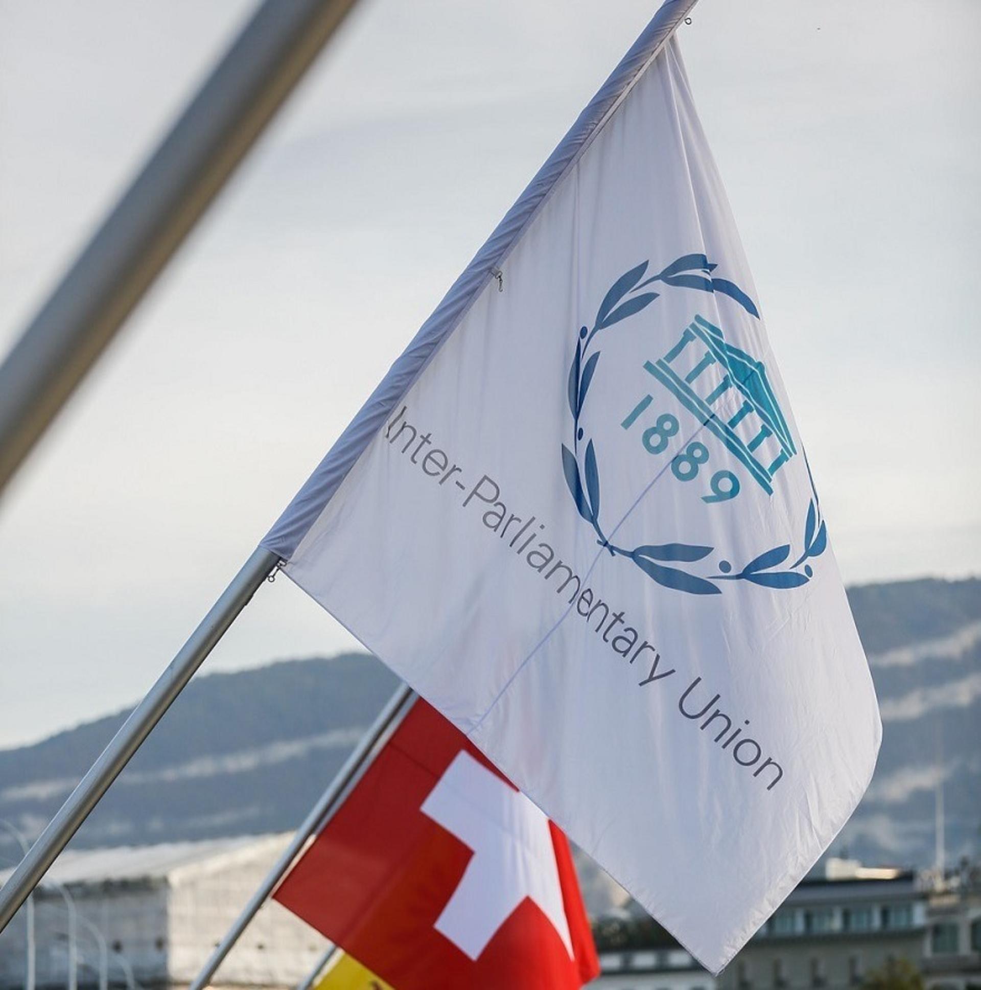 The IPU default image